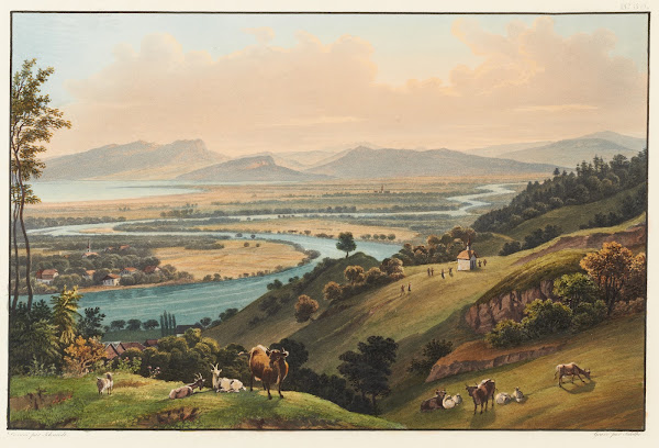 Le cours du Rhin par sa vallée avec la vue supérieur du lac de Constance