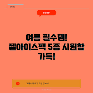 젤아이스팩 추천, 여름 필수 아이템, 젤아이스팩 사용법, 어떻게 효과적으로 쓰나, 어떤 종류가 좋나