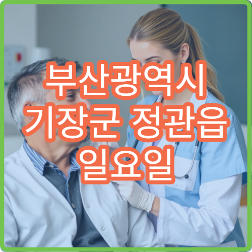 부산광역시 기장군 정관읍 일요일 무릎통 정형외과 진료 정보