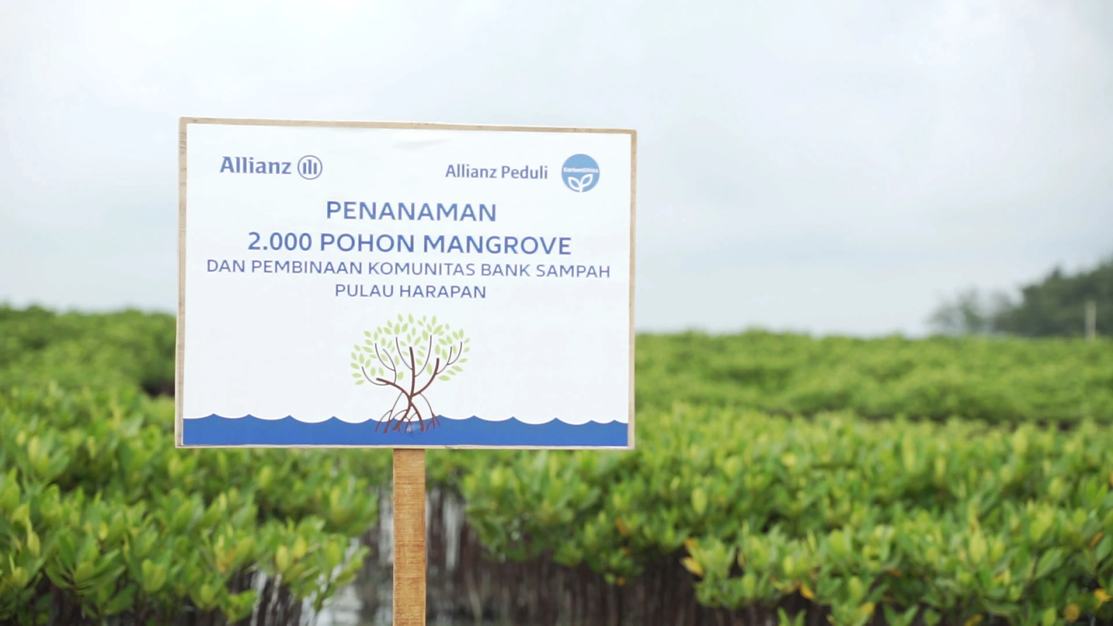Collaboration between Allianz Indonesia and CarbonEthics in Mangrove Planting CSR Program on World Cleanup Day 2021