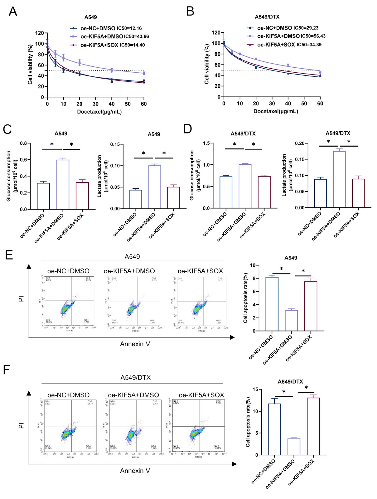 FOXP3 targets KIF5A to increase lactate production and promote docetaxel resistance in lung adenocarcinoma