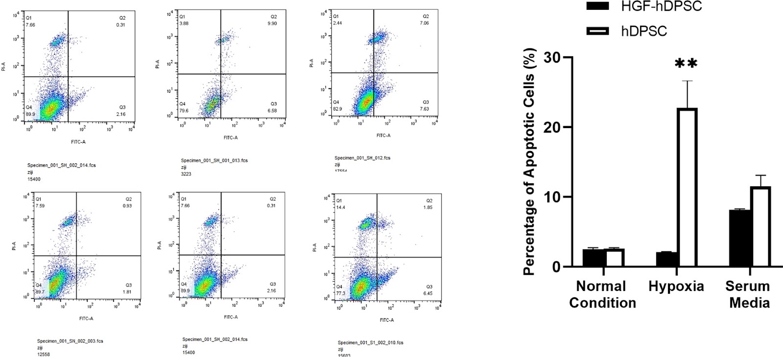 Correction: Adenovirus-mediated transfer of hepatocyte growth factor gene to human dental pulp stem cells under good manufacturing practice improves their potential for periodontal regeneration in swine