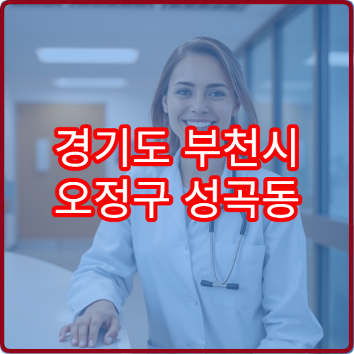 경기도 부천시 오정구 성곡동 설날 명절 이비인후과 연휴 진료 병원 코막힘·인후통 상담 가능
