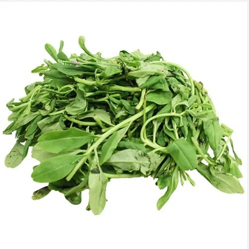Waterleaf