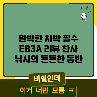 블루에티, EB3A 파워뱅크, 차박 캠핑, 고속 충전, 인산철 배터리