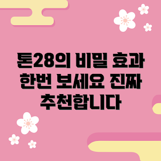 톤28샴푸바, 겨울 헤어케어, 2023 샴푸 트렌드, 환경친화적 제품, 효과적인 두피관리