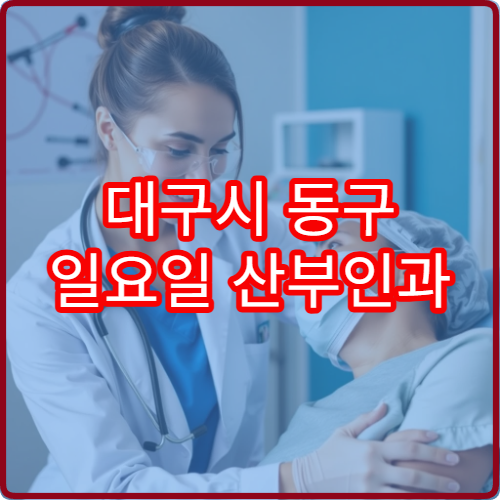 대구시 동구 일요일 산부인과 진료 운영 병원 정보를 담은 상세 정리