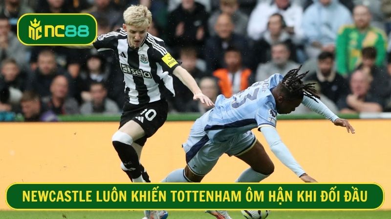 Newcastle có tỉ lệ thắng tốt hơn khi gặp Tottenham