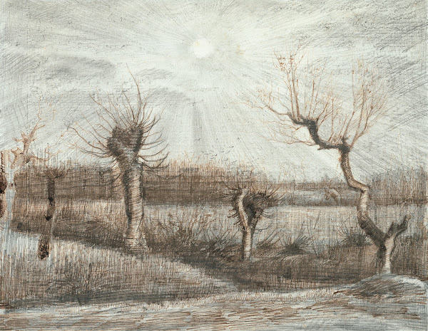 Tetards Pollards 1884