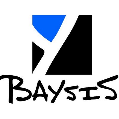 株式会社トライシス（BAYSIS）