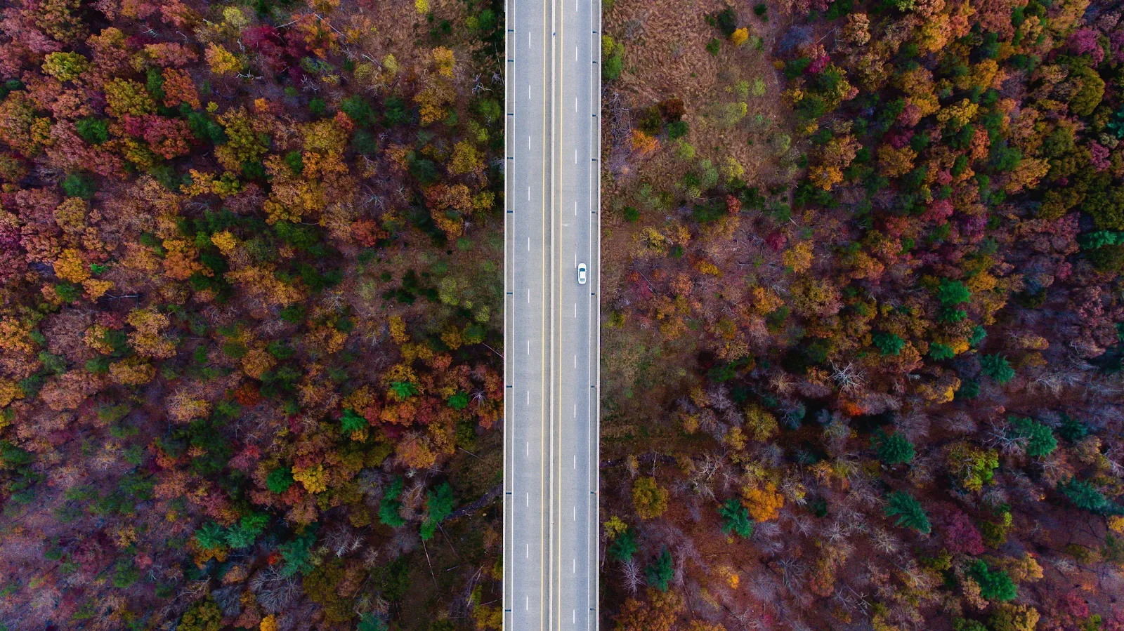 Nature, Road, Trees, Fall, Car 4K Desktop, iPhone Wallpaper Background