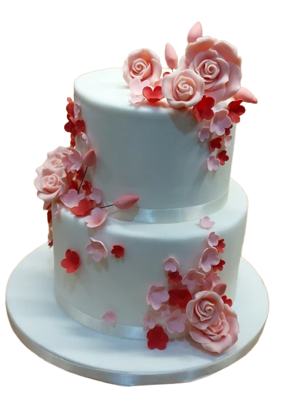 Pink & Red Themed Wedding Cake CB-NC554