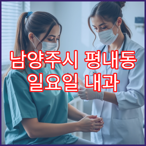 남양주시 평내동 일요일 내과 감기 몸살 고열 진료