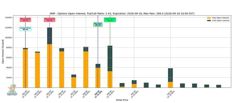 IWM Options