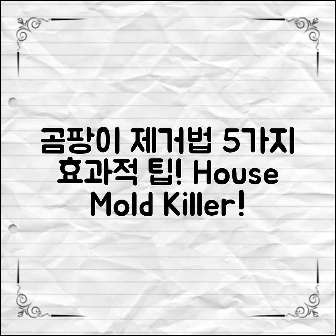 벽지 곰팡이 제거법, 5가지 효과적인 방법!