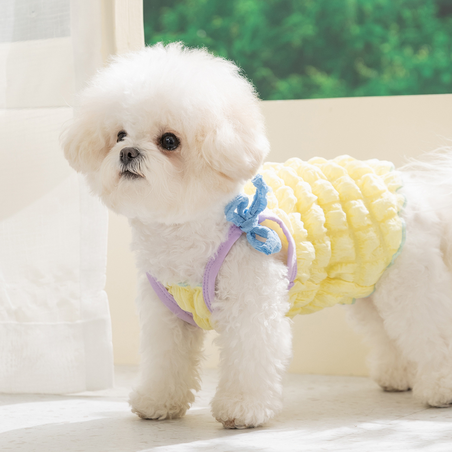 Tank Top for Dogs and Cats, Spring/Summer