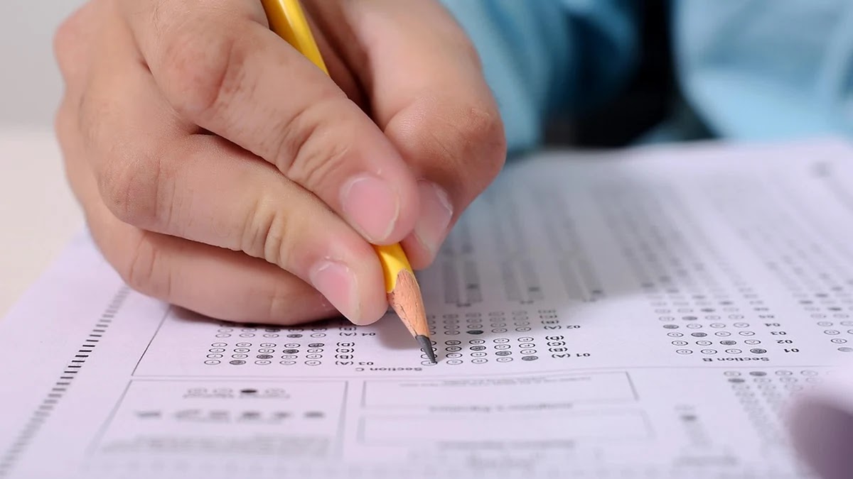 공무원 시험과 일반 취업, 진로 설계 기준과 차이점