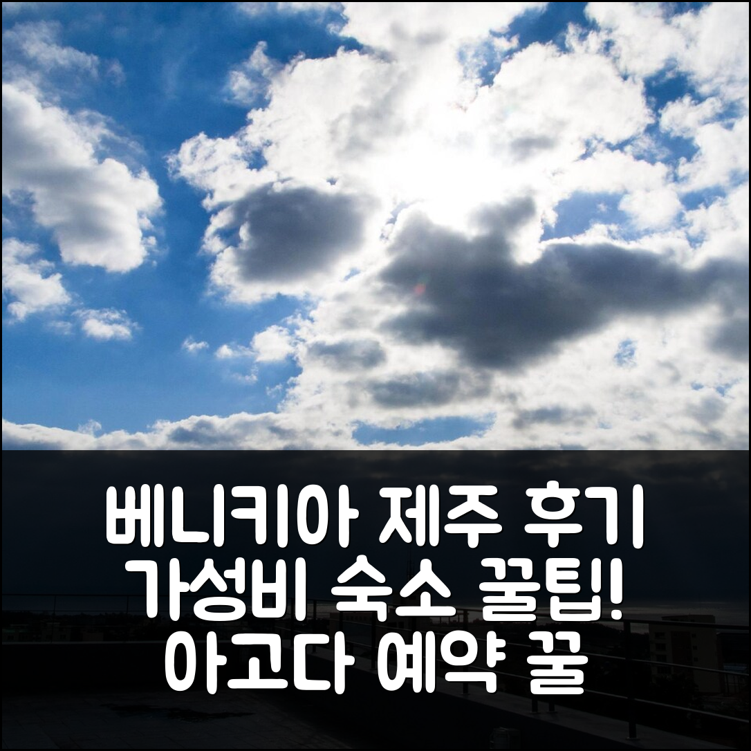베니키아 중문 호텔 제주 가성비 예약 후기 - 아고다 호텔 추천