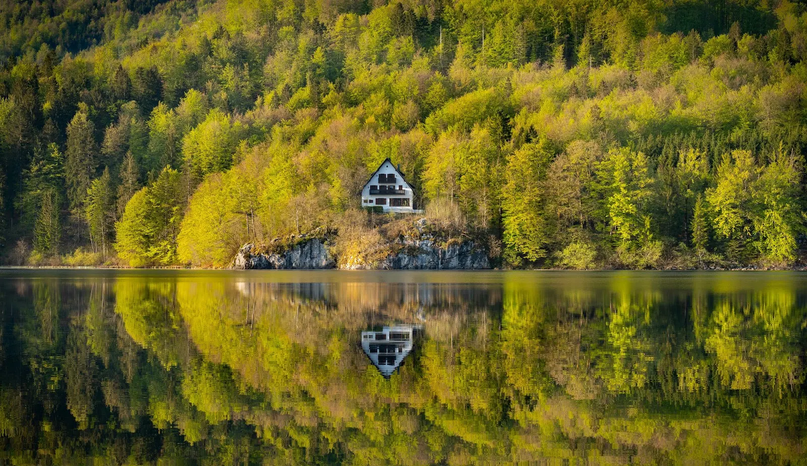 House Reflected in Forest Lake - Nature Photography 5K Wallpaper (5579x3224)