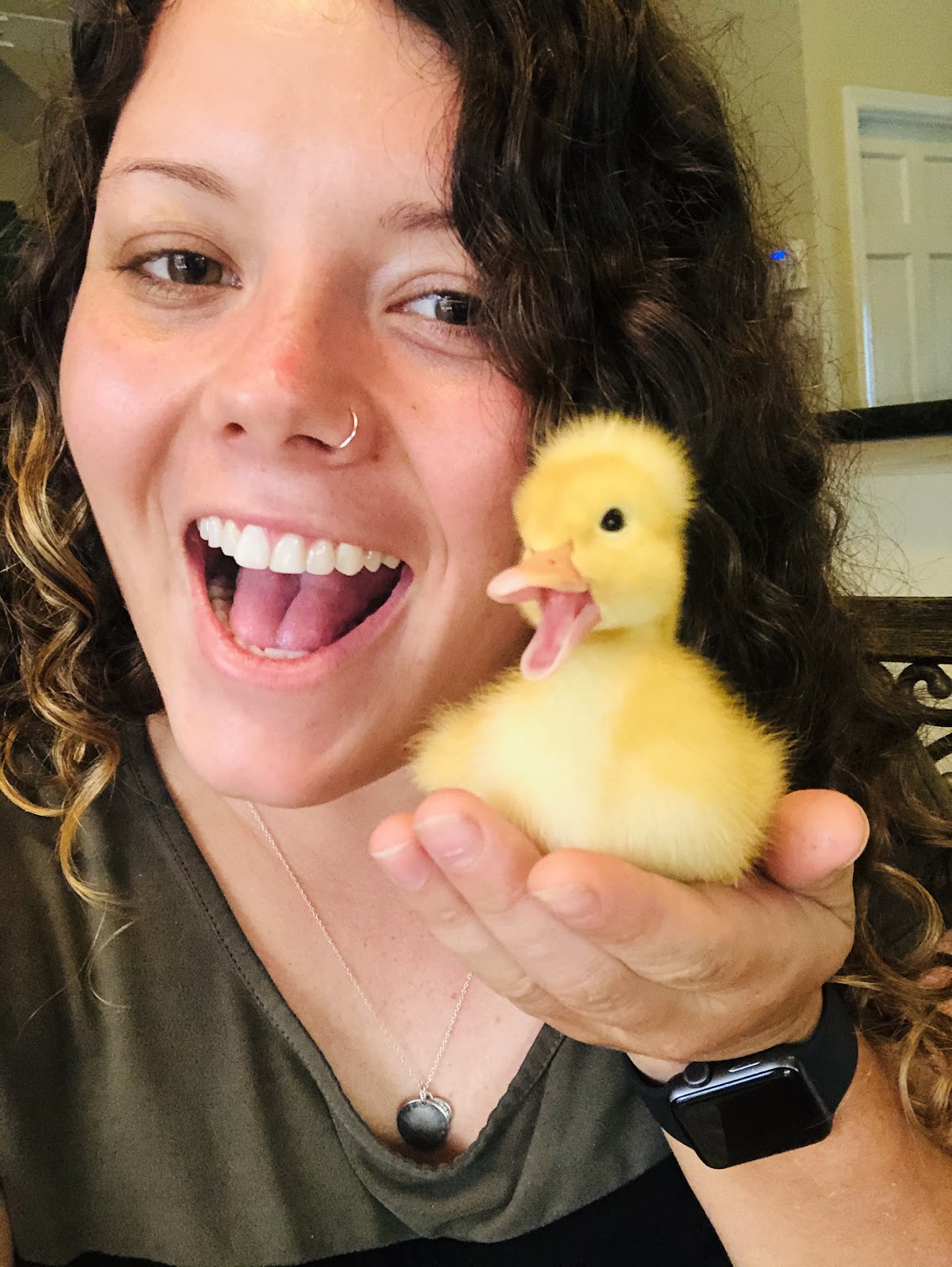 White Crested Duckling