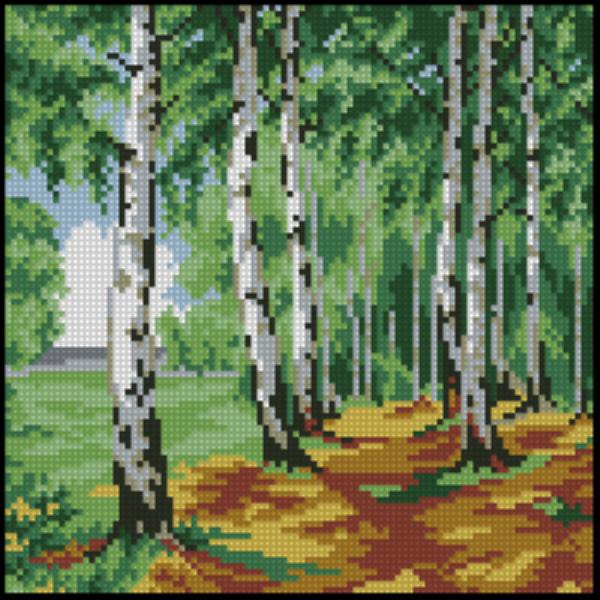 CMP 320442 Birch Forest