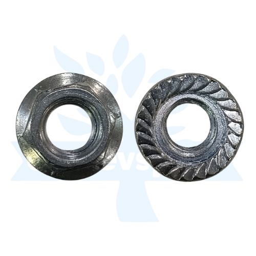 NUT [NB08] (049e)