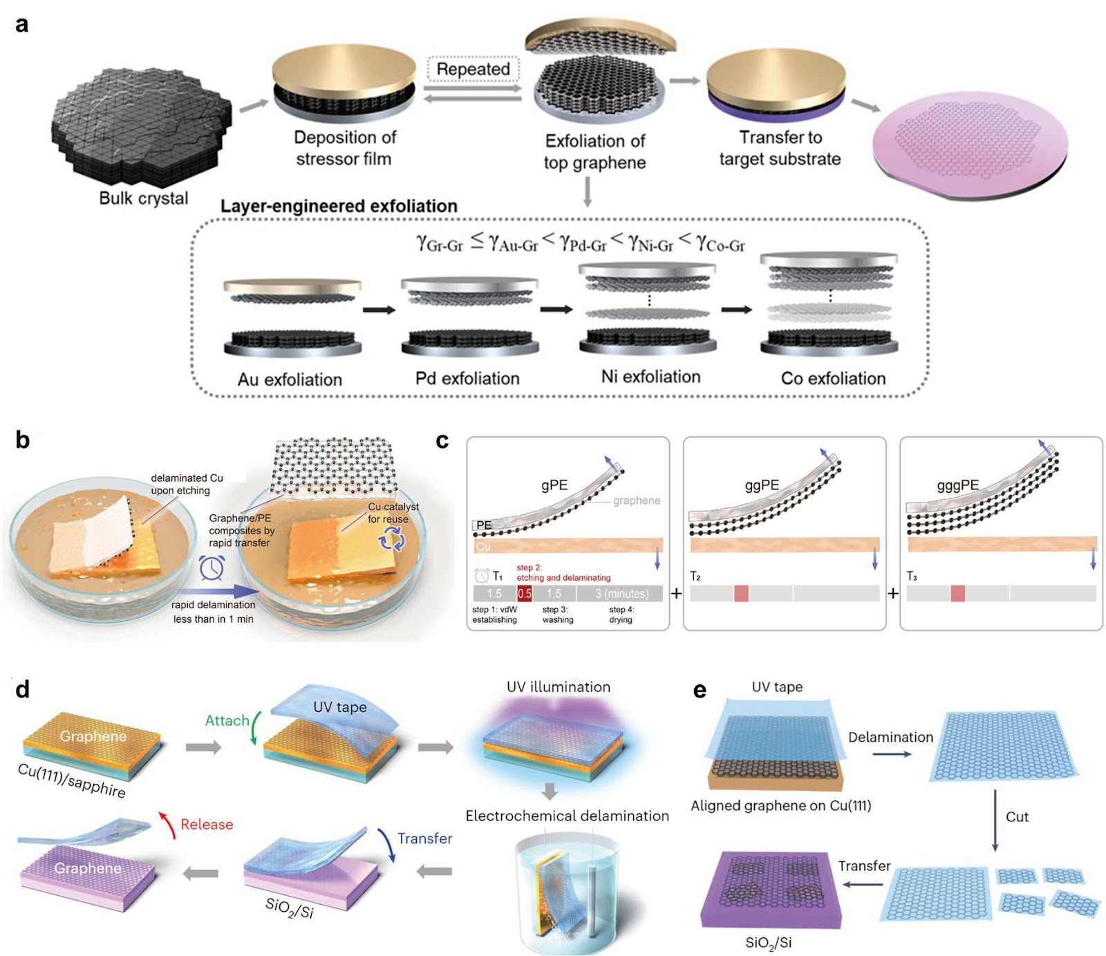 Recent advances in layer engineering and controllable fabrication of graphene, h-BN, and transition metal dichalcogenides