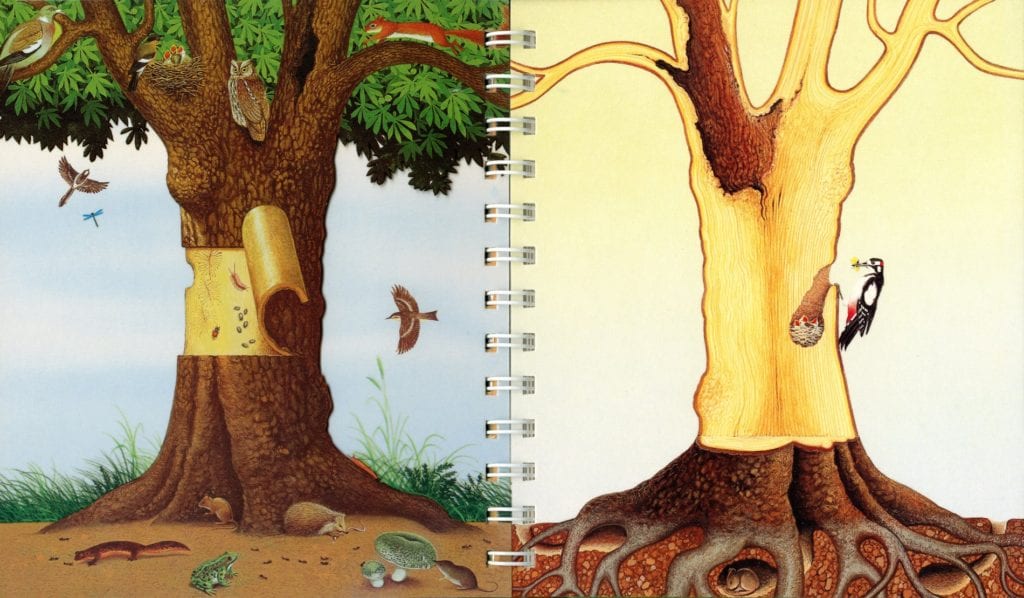 Trees - thumbnail 2