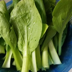 Phần lá còn lại của cải, đem rửa sạch với nước nhiều lần và để ráo nước. Phần gốc cải ngâm tầm 10 phút, sau đó dùng tay lật úp mặt gốc cải xuống thau nước, dập mạnh xuống nước nhiều lần cho đất cát có dính trong từng bẹ cải rơi ra. Vạch từng bẹ cải kiểm tra, nếu đất còn dính dùng mũi dao nhọn cạy ra. Rửa sạch với nước nhiều lần và để ráo.