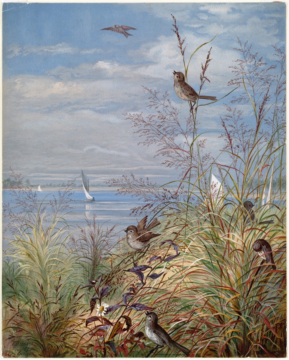 September 1875