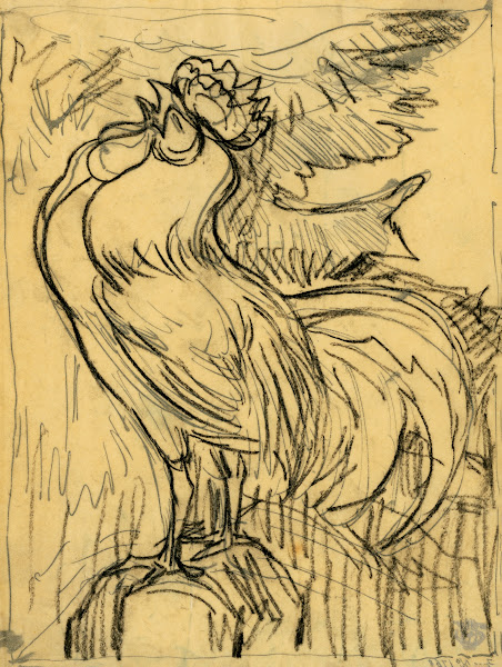 Kraaiende haan 1901