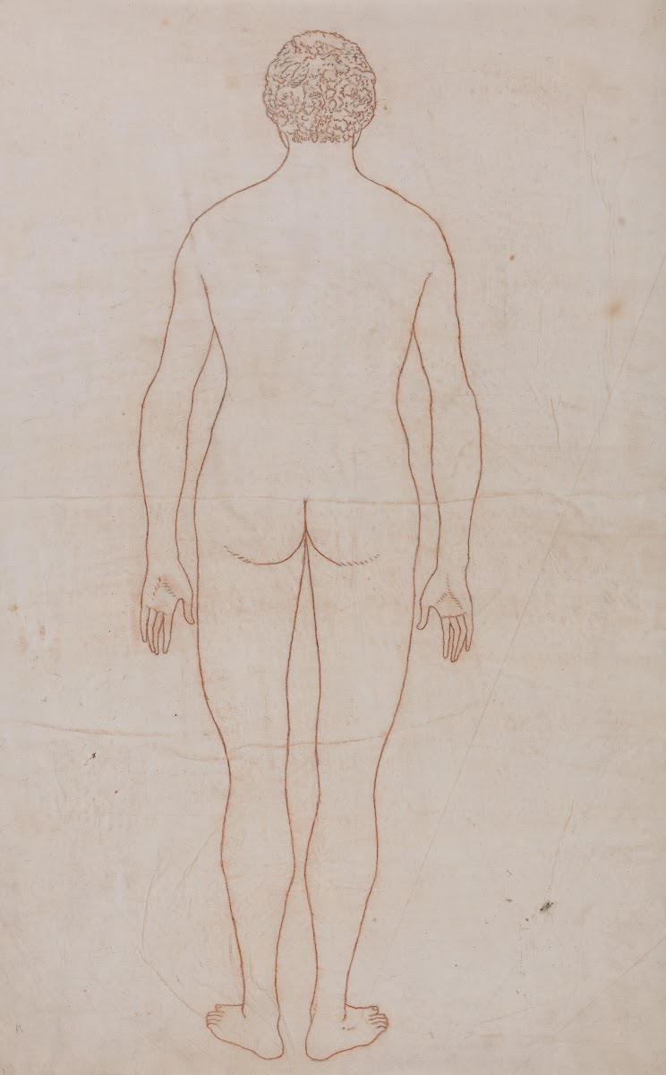 Human Body Posterior View 1795 to 1806
