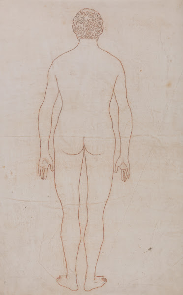 Human Body Posterior View 1795 to 1806