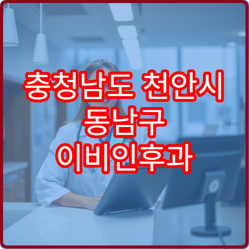 충청남도 천안시 동남구 이비인후과 설날 연휴 진료 병원 운영시간 안내
