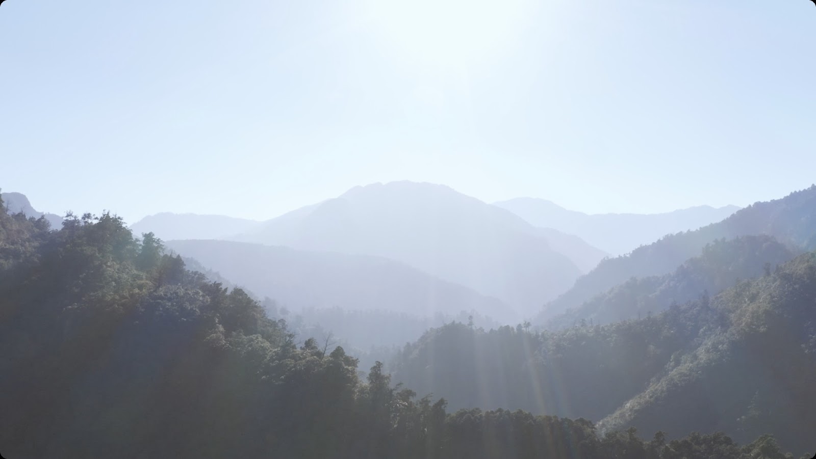 莊園形象片 screenshot 3