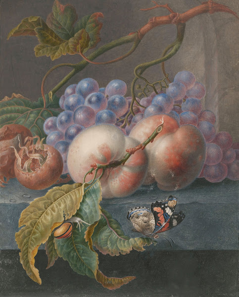 Fruits With A Butterfly And A Snail 1677   1726