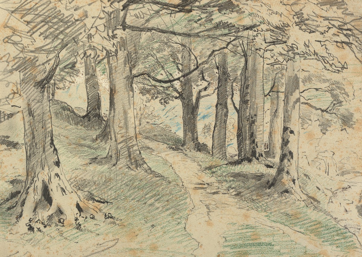 Waldinneres 1880 1890
