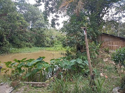 Tanah Tepi Jalan Hulu Langat — foto 3/8