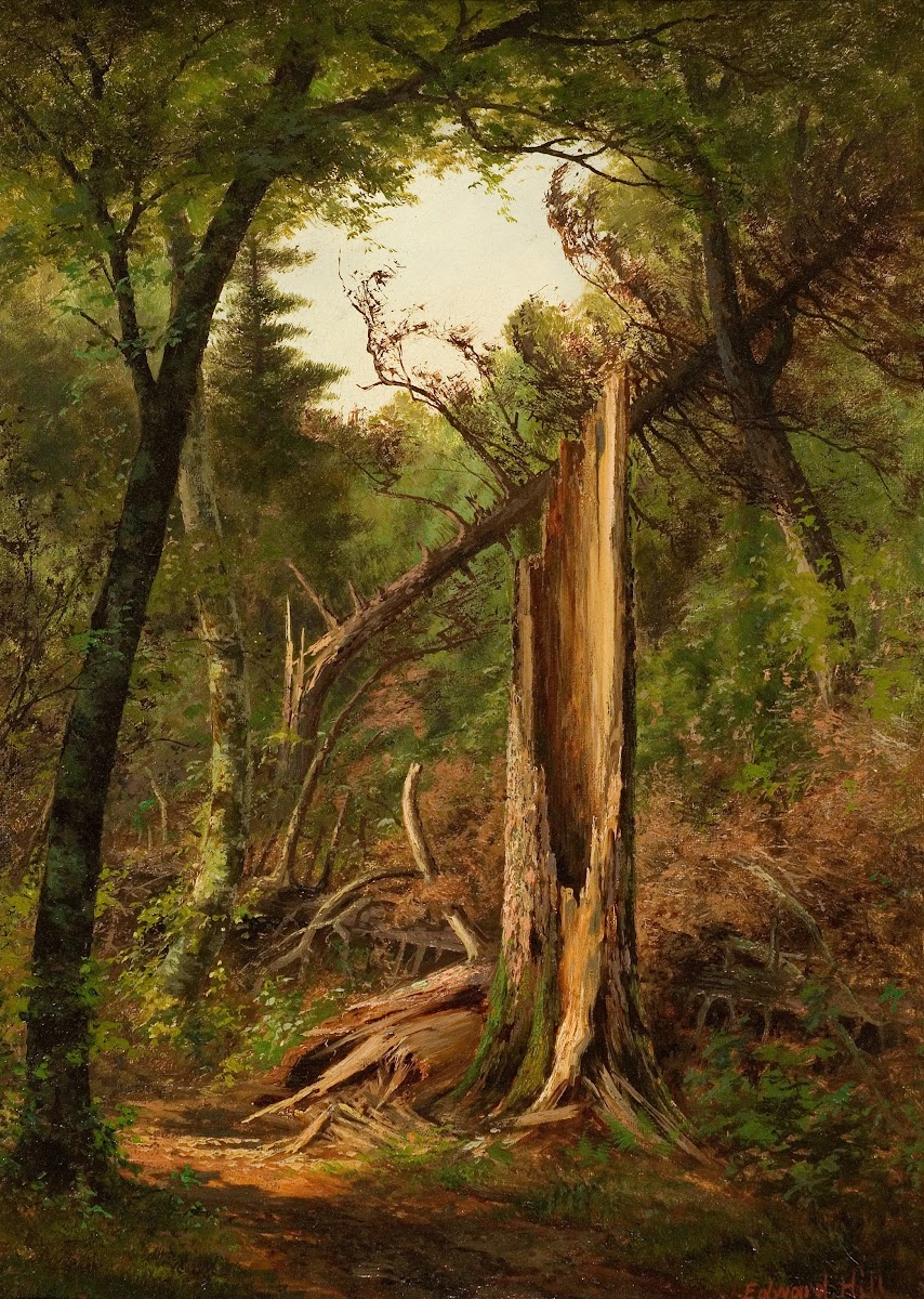 Woodland Interior 1880