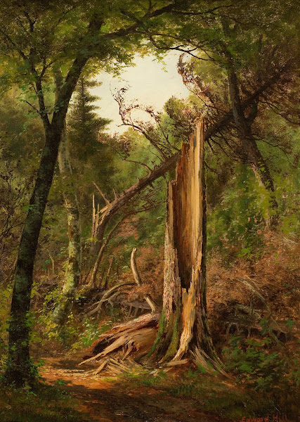 Woodland Interior 1880