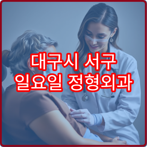 대구시 서구 일요일 정형외과 진료 가능한 병원을 확인하는 최신 정보