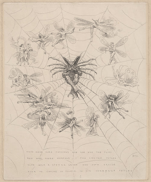 The Web
