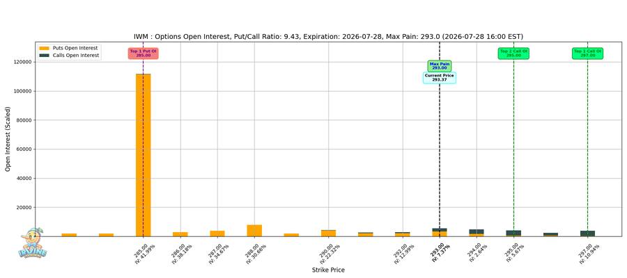 IWM Options