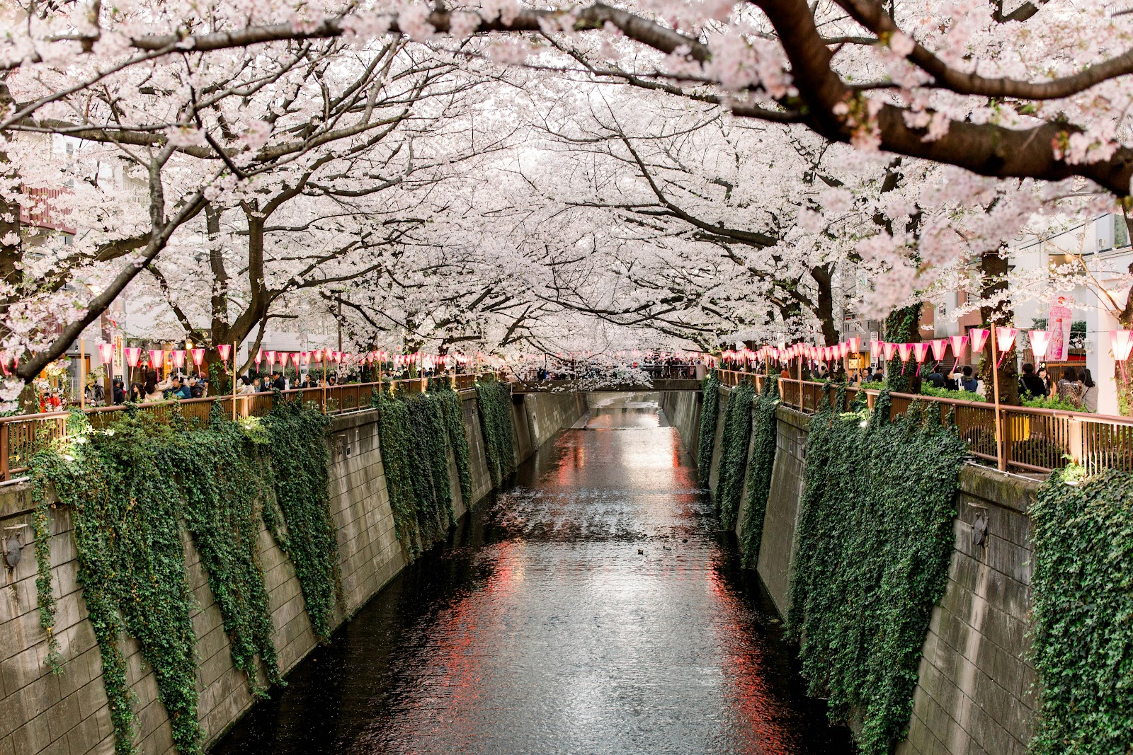Japón