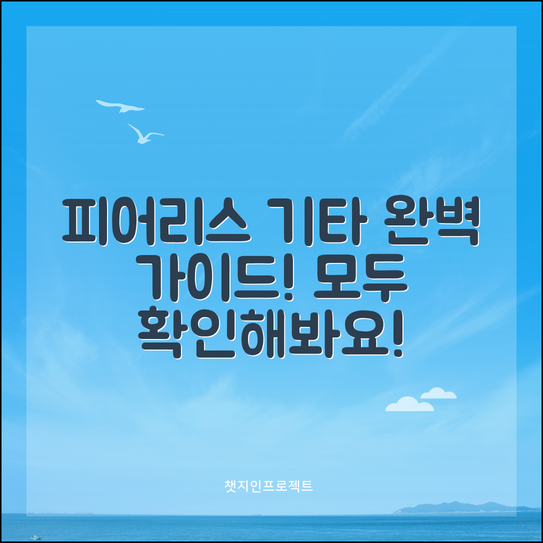 피어리스기타 정보 완벽 가이드