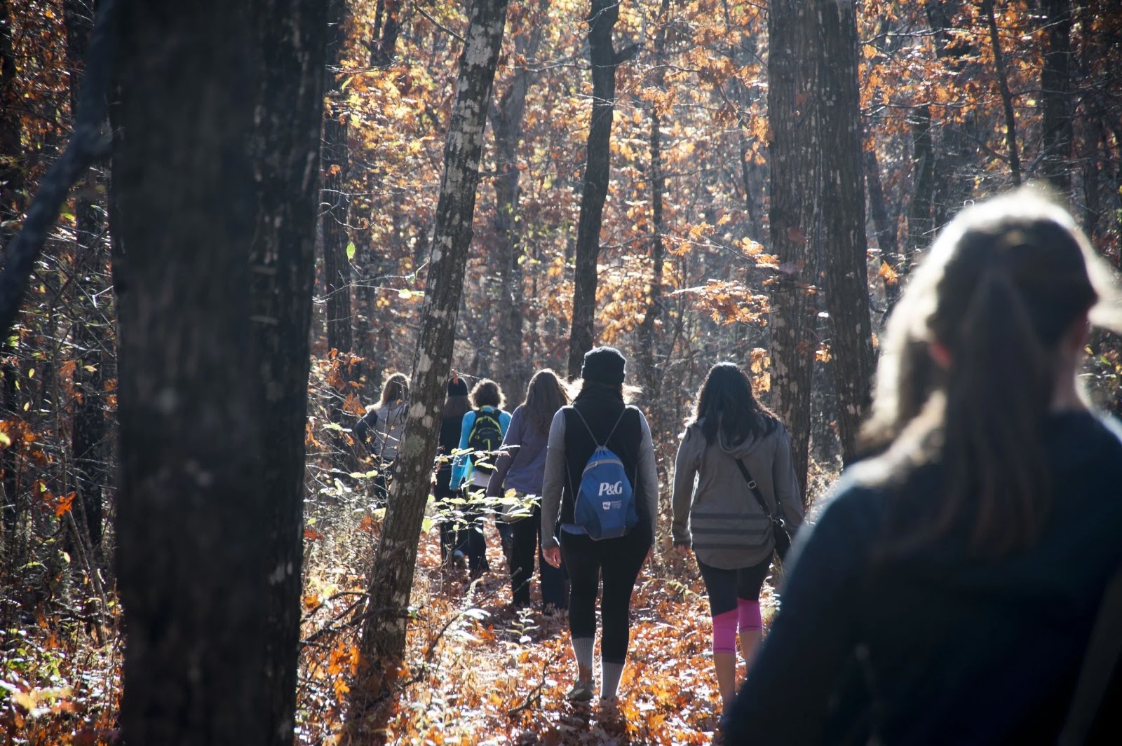 Hiking and foraging on the mountain
