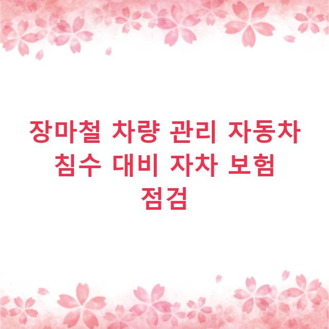 장마철 차량 관리 자동차 침수 대비 자차 보험 점검