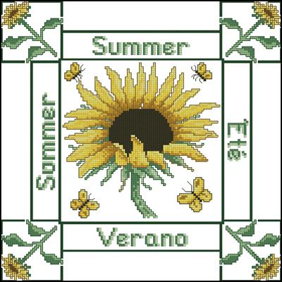 CMP 330096 Summer