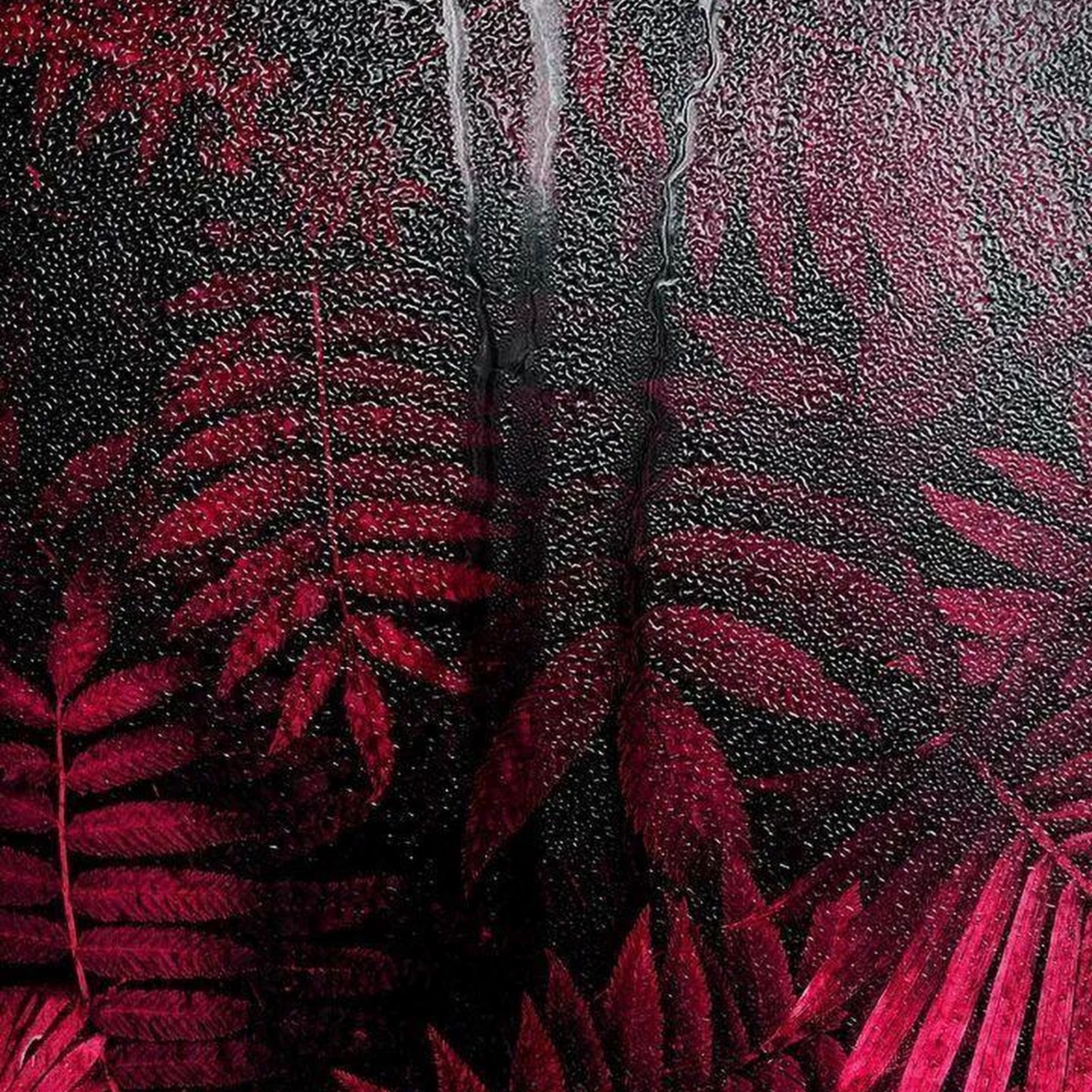 Download Red Tropical Leaves Behind Glass iPhone
