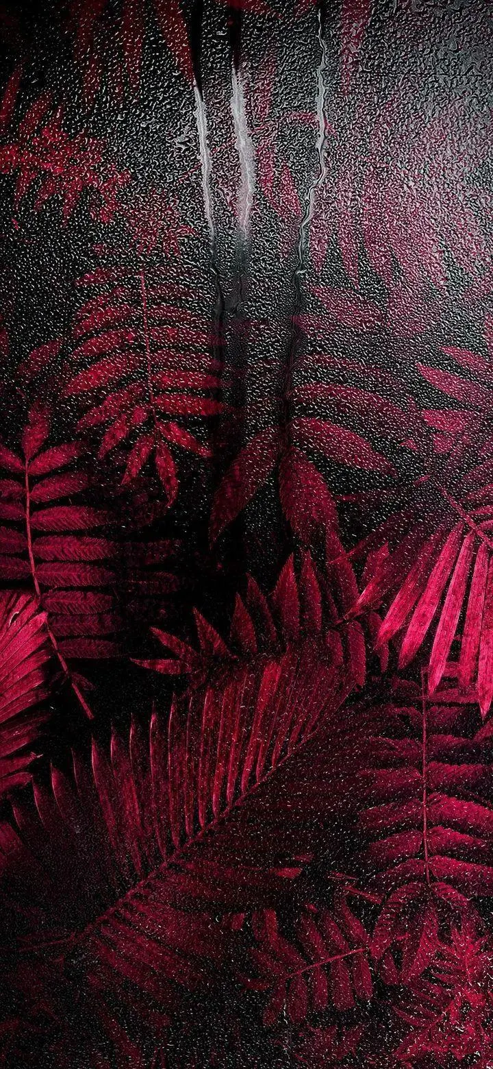 Red Tropical Leaves Behind Glass - Moody Photography iPhone Wallpaper (720x1560)